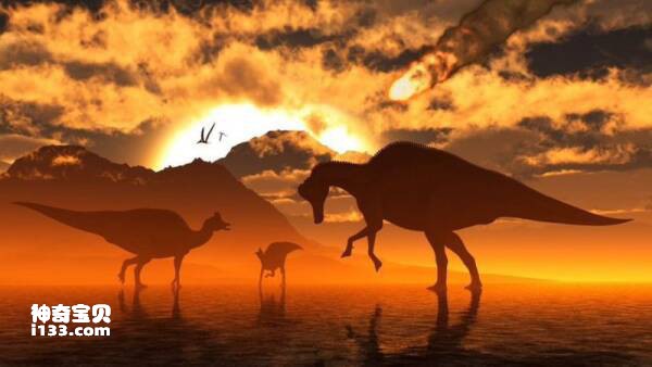 2023030941932000.jpg 1.jpg