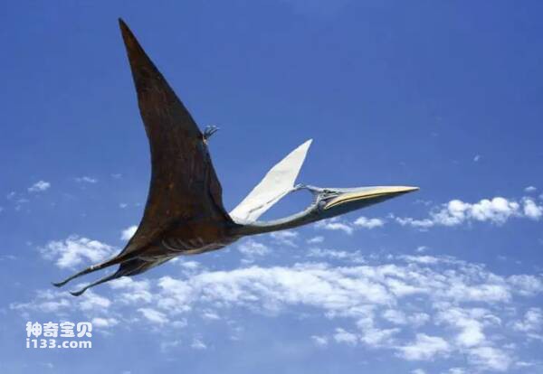 2023030990372545.jpg 屏幕快照 2023-03-09 下午9.02.58.jpg