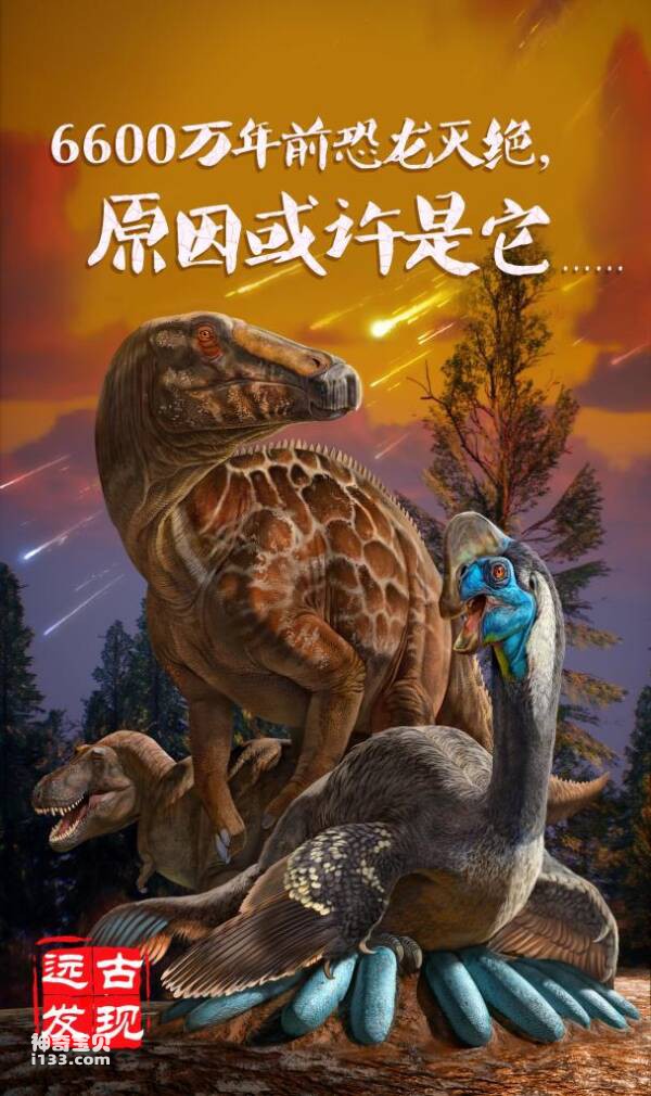 2023030995801773.jpg 4.jpg