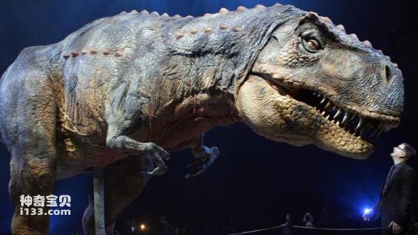 2023031010403773.jpg 4.jpg