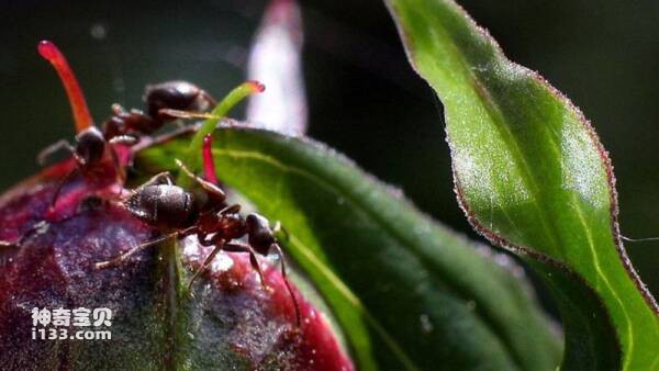 2023031011747778.jpg 3.jpg