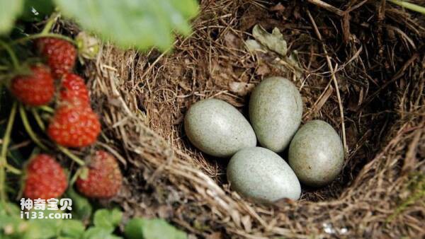 2023031012040378.jpg 10.jpg