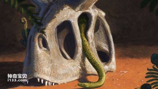 2023031016255178.jpg 2.jpg