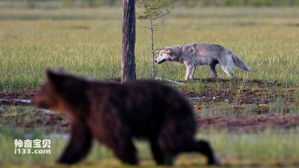 2023031018222280.jpg 4.jpg