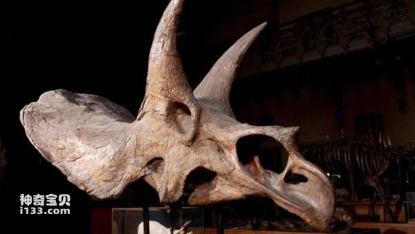 2023031018508231.jpg 3.jpg