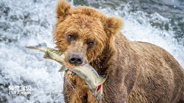 2023031018859288.jpg 1.jpg