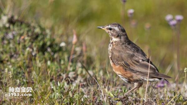 2023031019289370.jpg 11.jpg