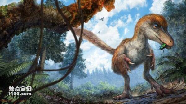 2023031019902500.jpg 4.jpg