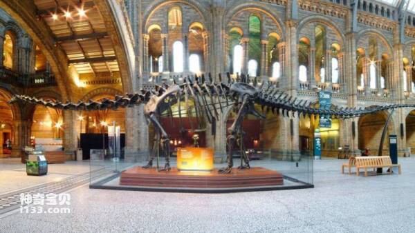 2023031052016478.jpg 5.jpg