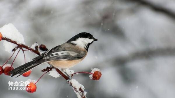 2023031063784003.jpg 9.jpg