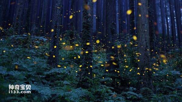 2023031074362872.jpg 2.jpg