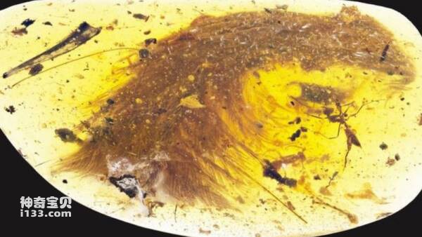 2023031075750988.jpg 5.jpg