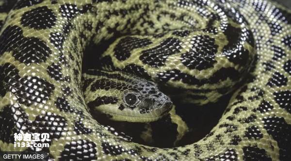 2023031084047762.jpg 屏幕快照 2023-03-10 上午7.44.57.jpg