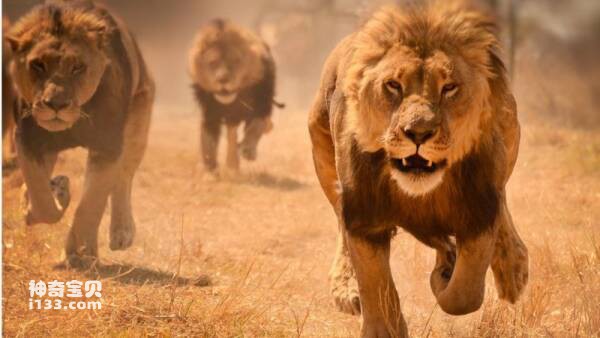 2023031097744181.jpg 6.jpg