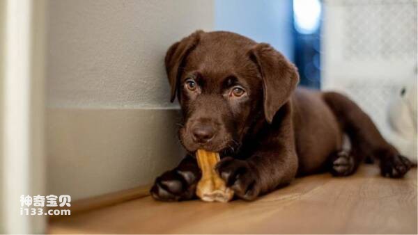 2023031114951246.jpg 4.jpg