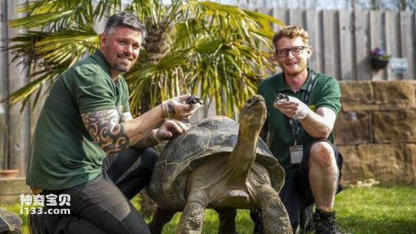 2023031119163775.jpg 2.jpg