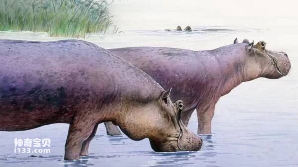 2023031120197265.jpg 5.jpg