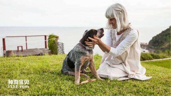 2023031120338692.jpg 2.jpg