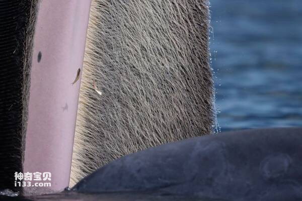 2023031120895768.jpg 2.jpg