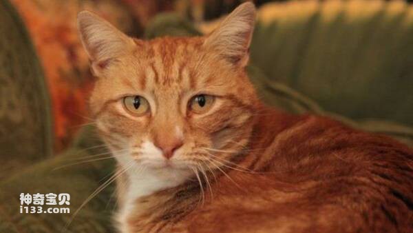 2023031125999027.jpg 3.jpg