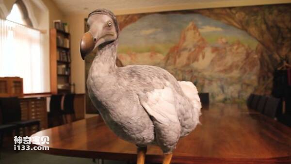 2023031134623425.jpg 3.jpg