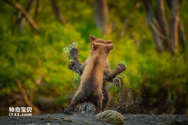 2023031410152758.jpg 3.jpg