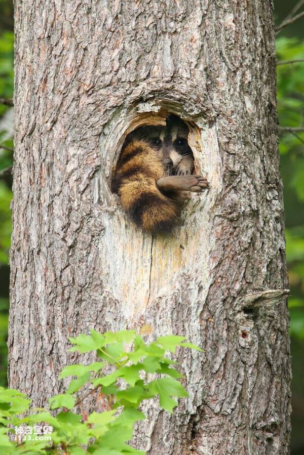 2023031411864633.jpg 5.jpg