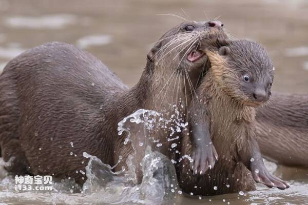 2023031413616545.jpg 6.jpg