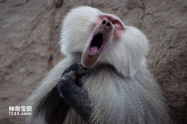 2023031419315742.jpg 8.jpg