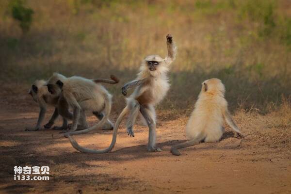 2023031479628594.jpg 10.jpg