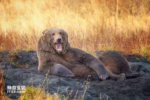 2023031497074266.jpg 12.jpg