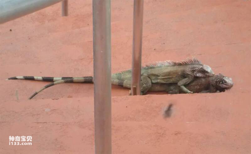 2023032319557432.jpg 6.jpg