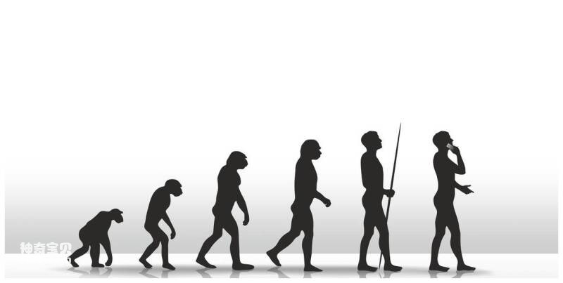 2023032328764074.jpg 3.jpg