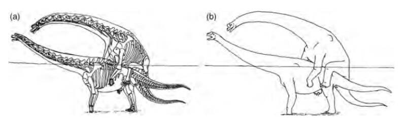 2023032348485799.jpg 5.jpg