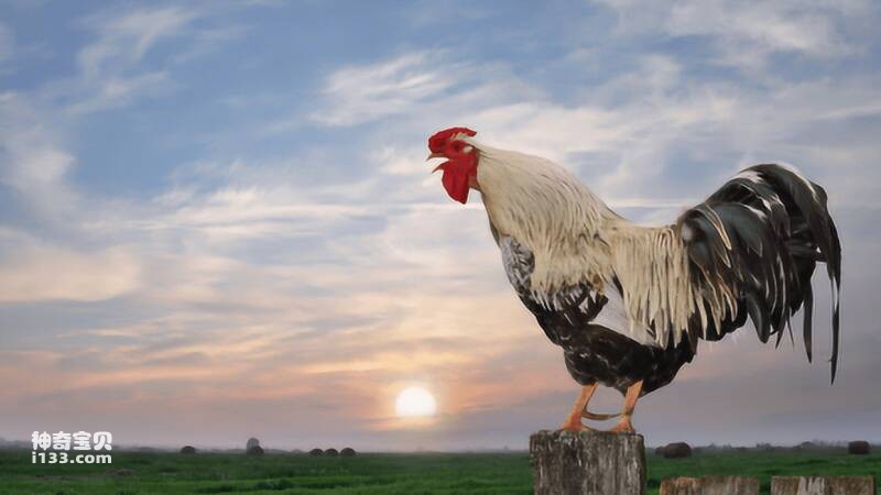 2023032410518202.jpg 2.jpg