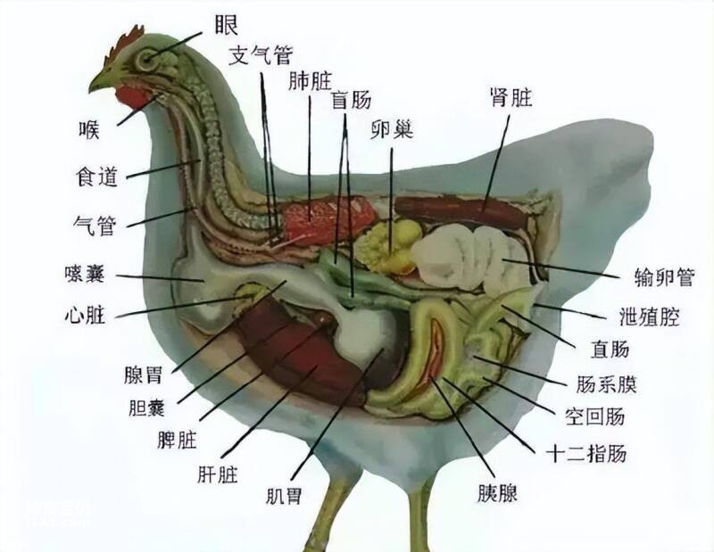 2023032418634523.jpg 5.jpg