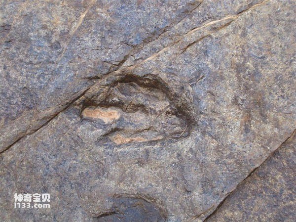 2023040214640673.jpg 5.jpg