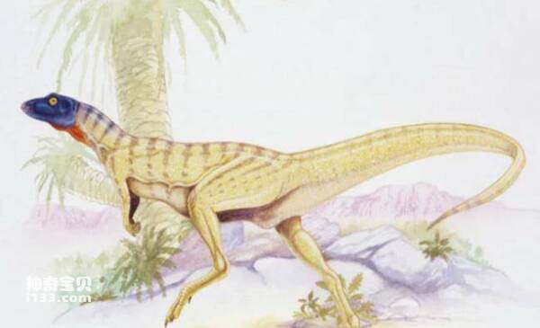 2023040216537201.jpg 2.jpg