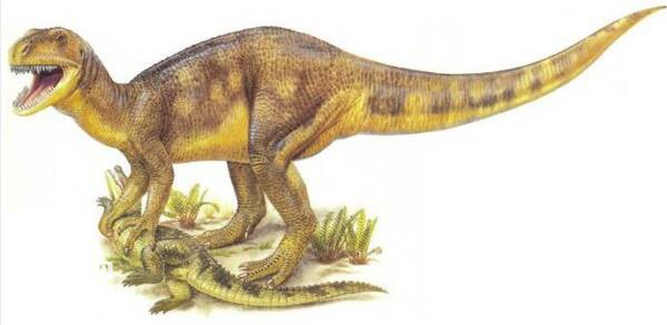 2023040253106553.jpg 2.jpg