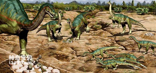 2023040275507119.jpg 1.jpg