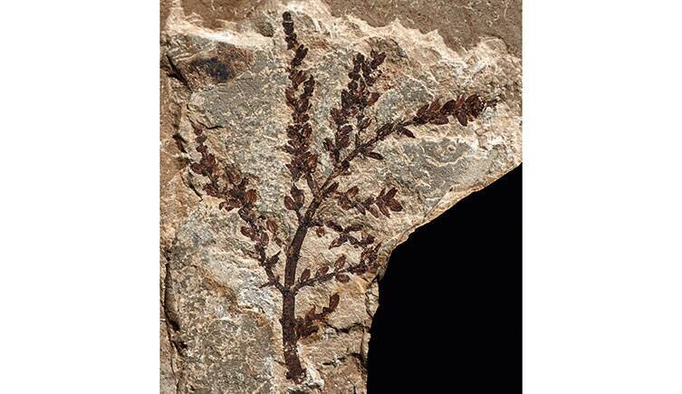 2023040313332744.jpg 2(1).jpg