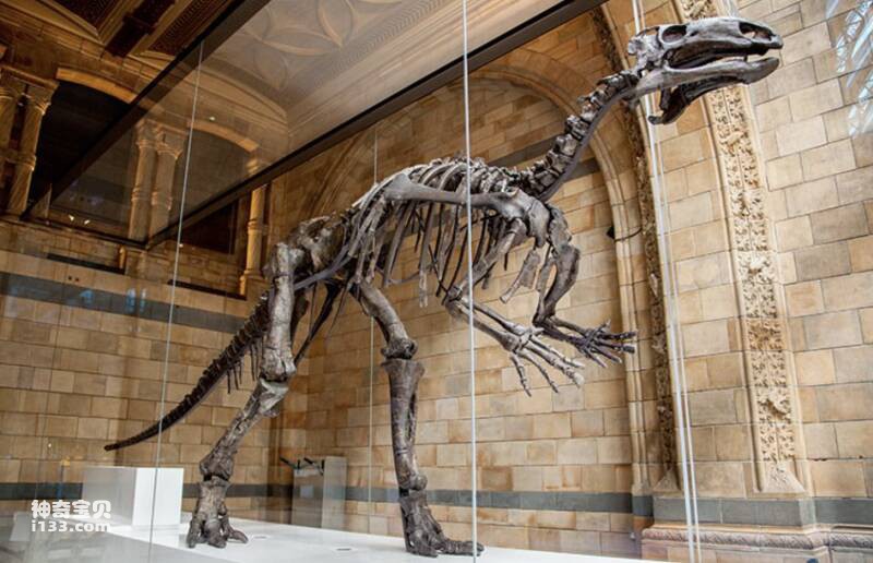 2023040314516362.jpg 屏幕快照 2023-04-03 上午6.08.20.jpg