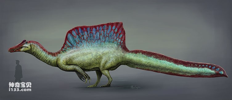 最大的食肉恐龙是什么