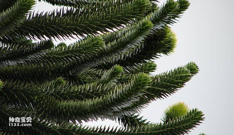 2023040319628795.jpg 8(1).jpg