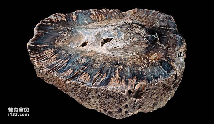 2023040320162440.jpg 7(1).jpg