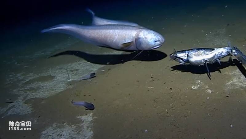 2023040360946466.jpg 3.jpg