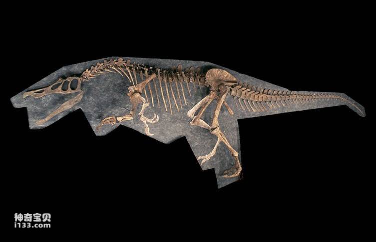 2023040397624844.jpg 10(1).jpg