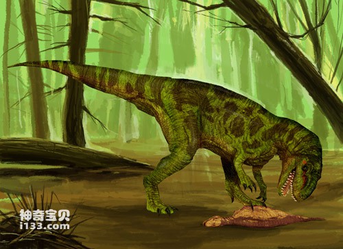 永川龙的化石产地及体型特征