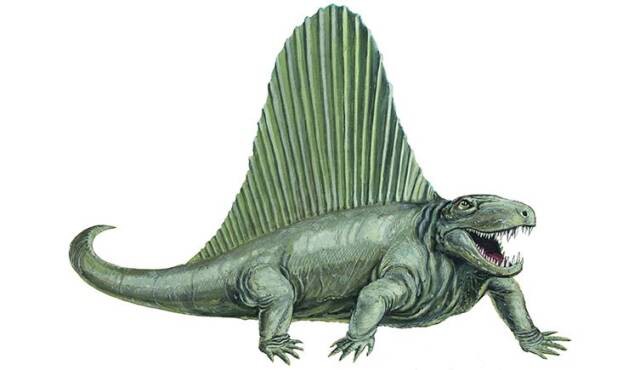 2023040917399298.jpg 3(1).jpg