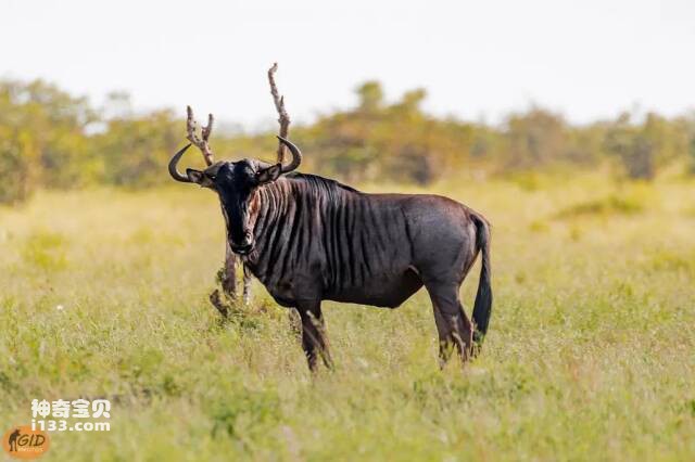 2023041411552460.jpg 6.jpg